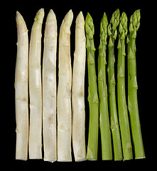 Image showing Asparagus