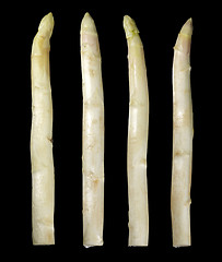 Image showing Asparagus