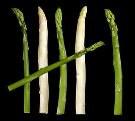 Image showing Asparagus