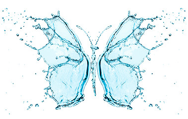 Image showing Butterfly splashing water