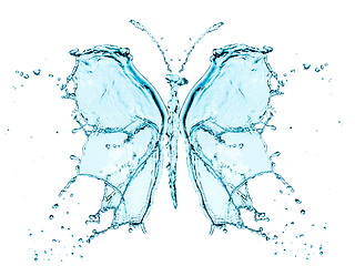 Image showing Butterfly splashing water