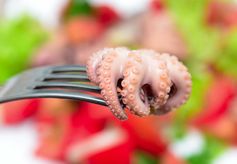 Image showing octopus salad