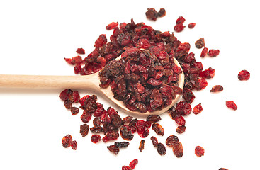 Image showing dried barberry