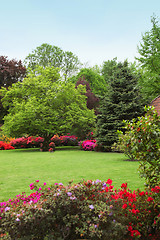 Image showing Colourful spring garden