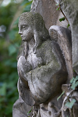 Image showing Stone angel