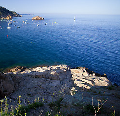 Image showing Mediterranean sea coast