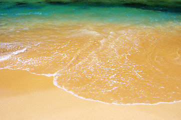 Image showing Green water in sand