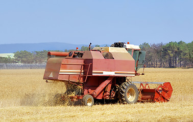 Image showing combine harvester on a wheat field 