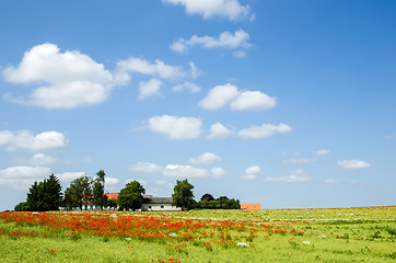 Image showing Danish countryside view