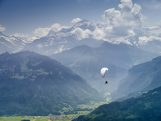 Image showing paraglider