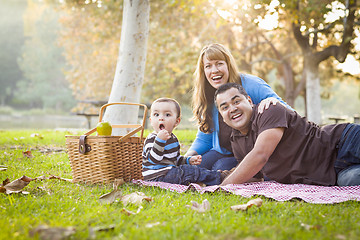 Image showing Happy Mixed Race Ethnic Family Having a Picnic In Park