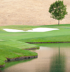 Image showing golf course