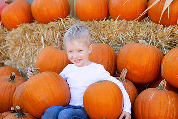 Image showing boy at pumpkin patch