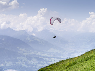 Image showing Paraglider