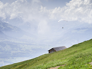 Image showing Paraglider