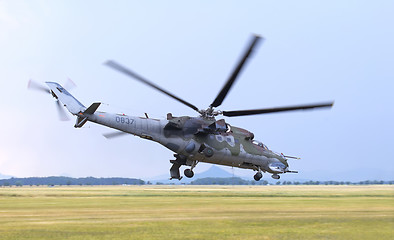 Image showing Mil Mi-24 Hind