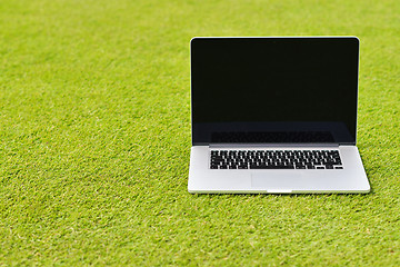 Image showing laptop computer  on grass