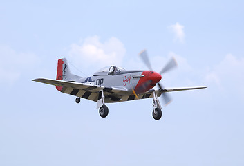 Image showing P-51 D Mustang