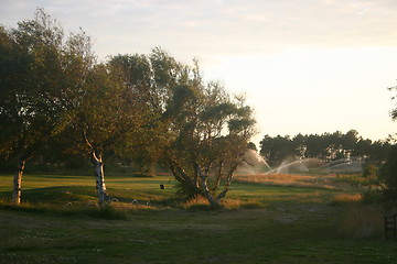 Image showing watering the green