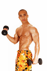 Image showing Guy exercising.