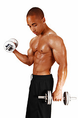 Image showing Guy with silver dumbbells.