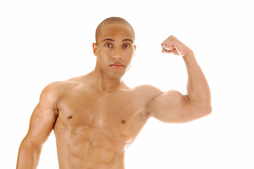 Image showing Man showing his biceps.