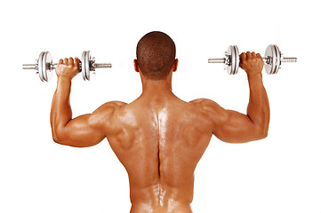 Image showing Guy with silver dumbbells.