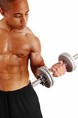 Image showing Closeup of dumbbell lifting.