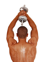 Image showing Guy with silver dumbbells.