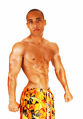 Image showing Bodybuilder from the front.