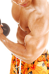 Image showing Closeup of biceps.