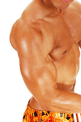 Image showing Biceps and chest.