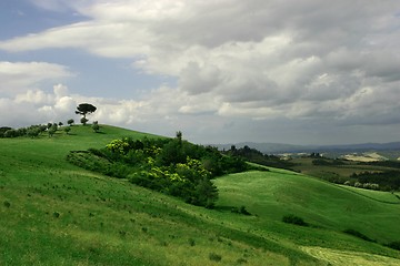 Image showing tuscany