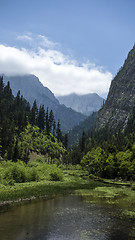 Image showing Nature Landscape