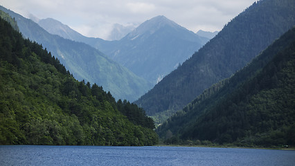 Image showing Nature Landscape