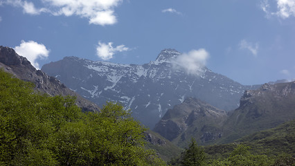 Image showing Nature Landscape