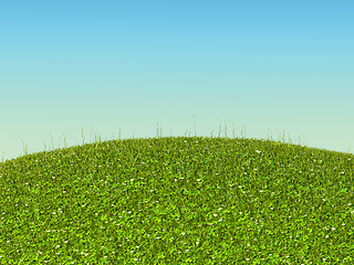 Image showing Green grass landscape with clover and camomile flowers