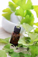 Image showing Ginkgo biloba essential oil