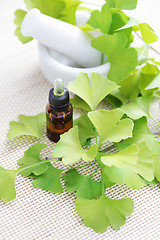 Image showing Ginkgo biloba essential oil