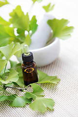 Image showing Ginkgo biloba essential oil