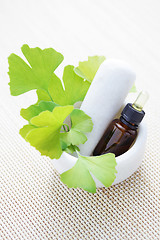 Image showing Ginkgo biloba essential oil