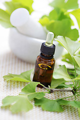 Image showing Ginkgo biloba essential oil