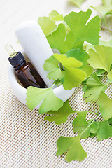 Image showing Ginkgo biloba essential oil