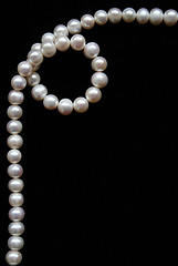 Image showing White pearls on the black velvet