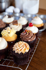 Image showing Delicious Gourmet Cupcakes