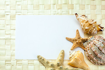 Image showing seashells on a white sheet of paper