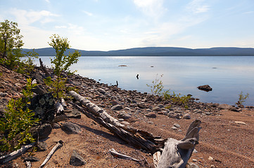 Image showing Picturesque snag on the lake in summer day