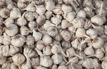 Image showing Garlic background