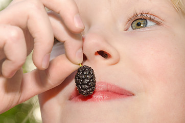 Image showing Little girl holding in hand and eating the mulberry