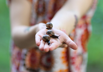 Image showing Snails on a Child´s Hands 